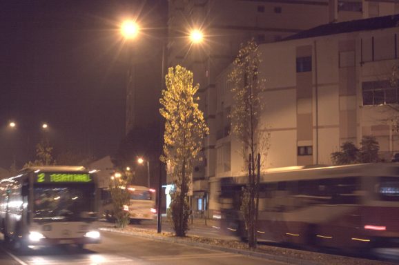 Der weiße Bus ist von TST - Transportes Sul do Tejo.